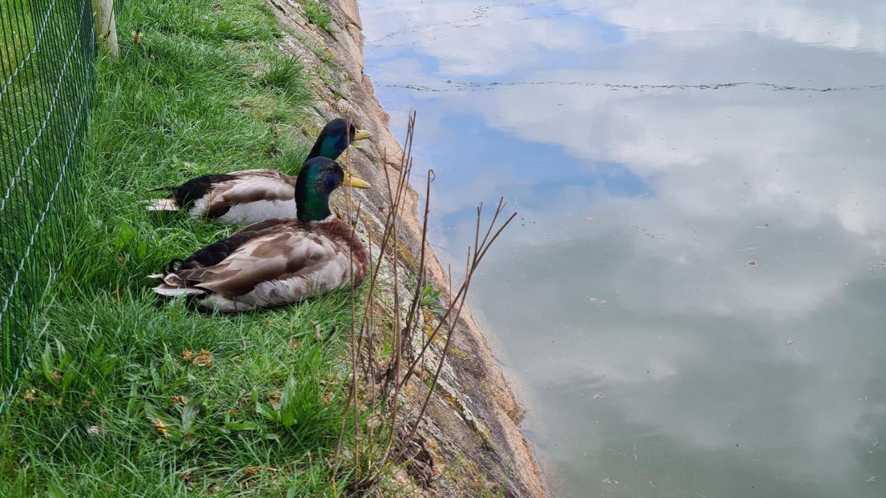 Quinta De Santo Estevao Hotel Rural Aguiar da Beira Eksteriør bilde